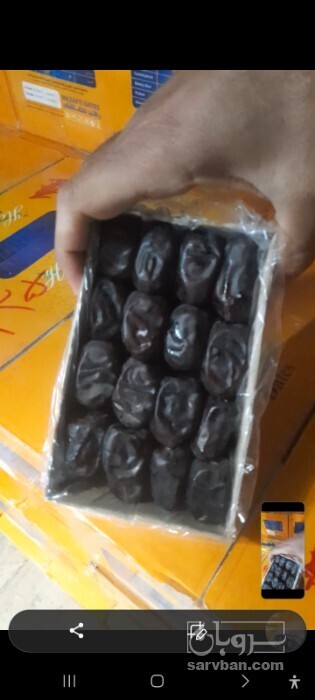 فروش خرمامضافتی صادراتی