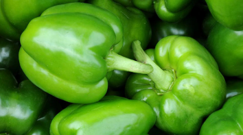 فروش فلفل دلمه ای