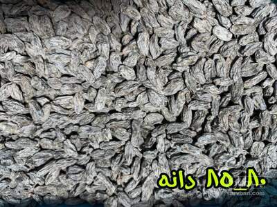 فروش مویز ازبک لوکس