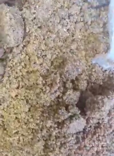 فروش تفاله ذرت