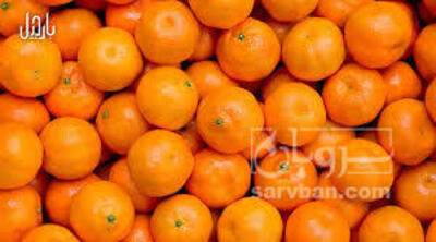 فروش نارنگی