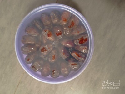 فروش خرماکبکاب