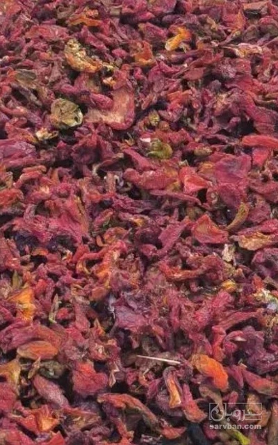 فروش فلفل پاپریکا