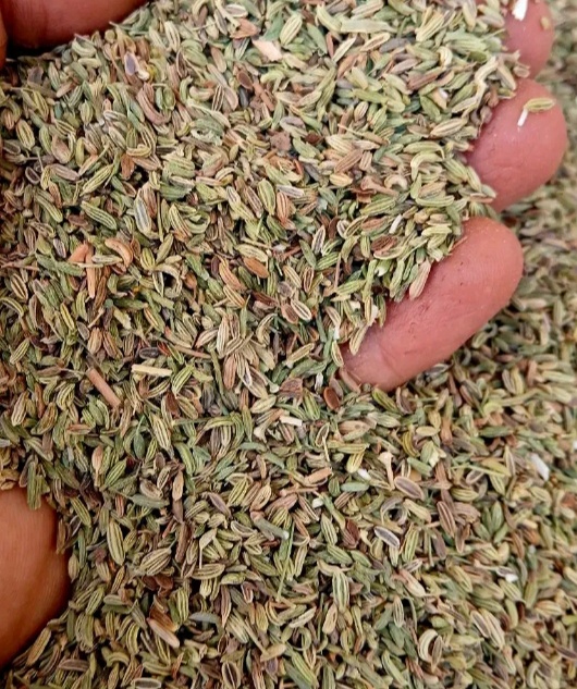 فروش رازیانه (گیاه‌ دارویی)