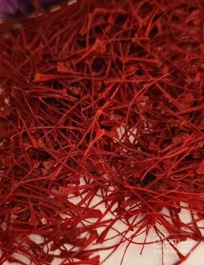 فروش زعفران دختر پیچ (گیاه‌ دارویی)