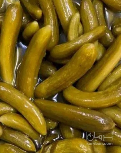 فروش خیار شور نول