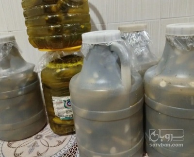 فروش خیار شور ویژه