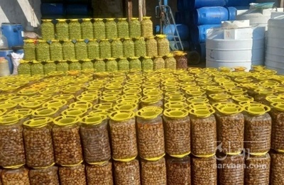 فروش زیتون کبابی