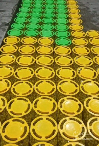 فروش زیتون بی هسته