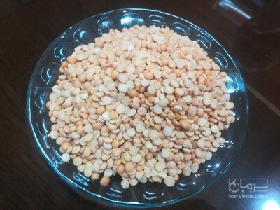 فروش نخود کفتری - لپه