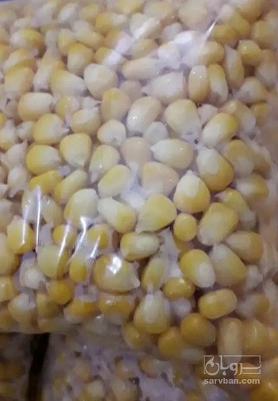 فروش ذرت منجمد