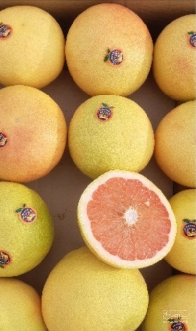 فروش گریپ فوروت