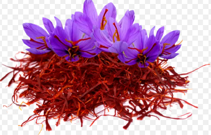فروش زعفران (گیاه‌ دارویی)