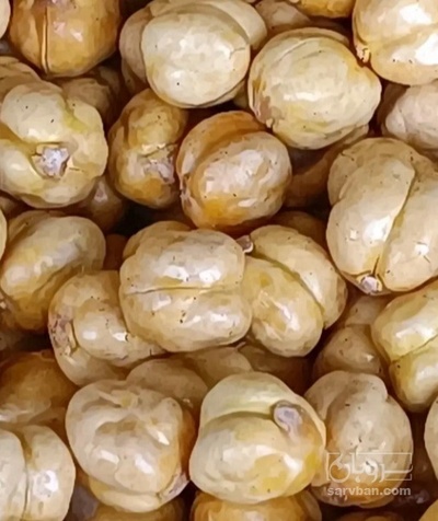 فروش نخود چی خام