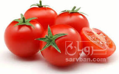 فروش گوجه فرنگی