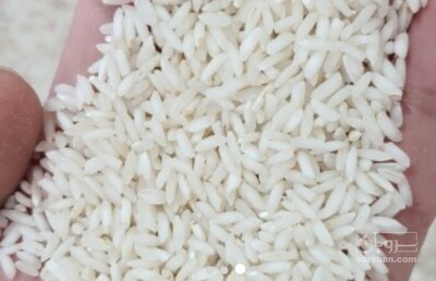 فروش برنج عنبربو