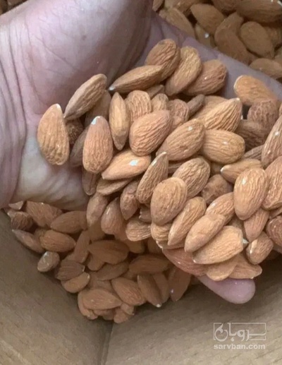 فروش مغز بادام