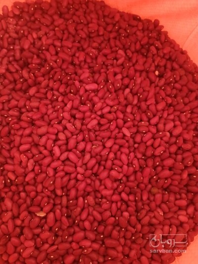 فروش لوبیا قرمز