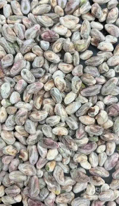 فروش مغز پسته سالم