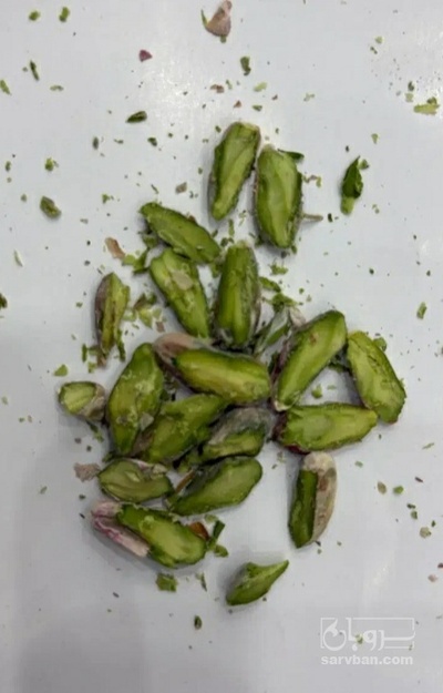 فروش مغز پسته پودری