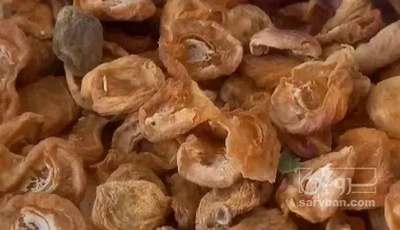 فروش برگه هلو