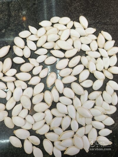 فروش تخمه  کدو مرمری