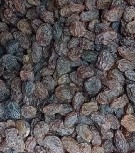 فروش کشمش پلویی