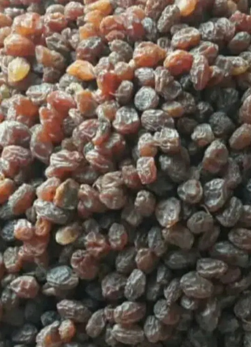 فروش کشمش فخری