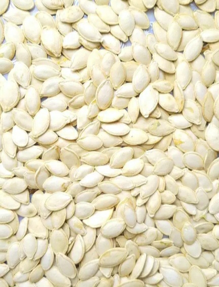 فروش تخمه  کدو بو داده