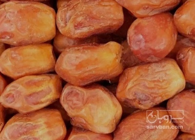 فروش خرما زاهدی