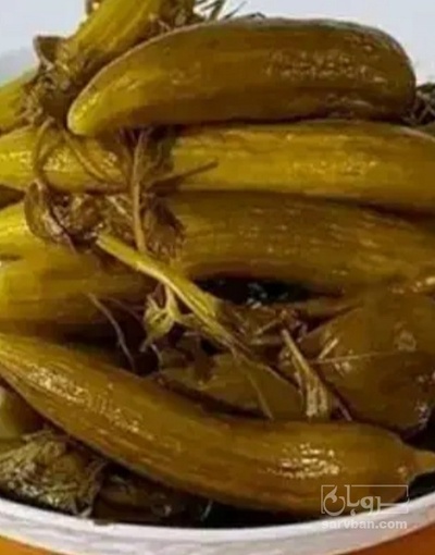 فروش خیار شور