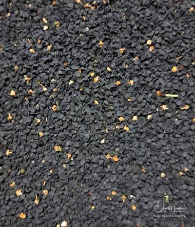 فروش بذر پیازچه زرد اردستانی