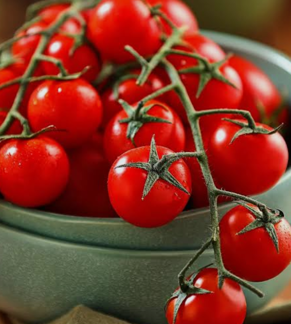 فروش گوجه فرنگی