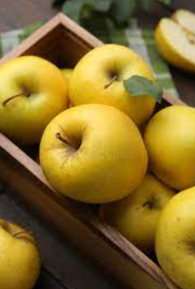 فروش سیب زرد