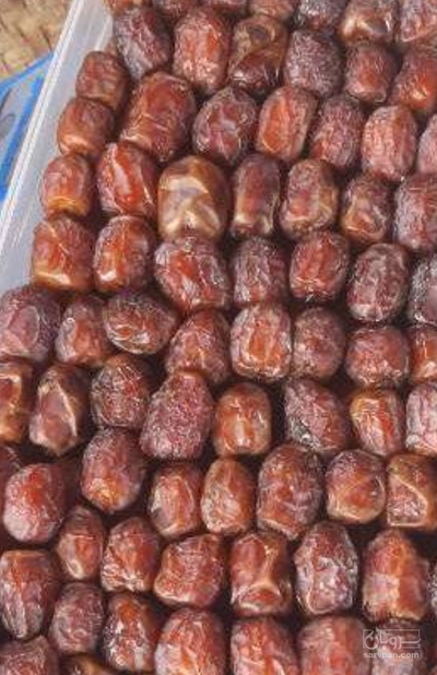 فروش خرما