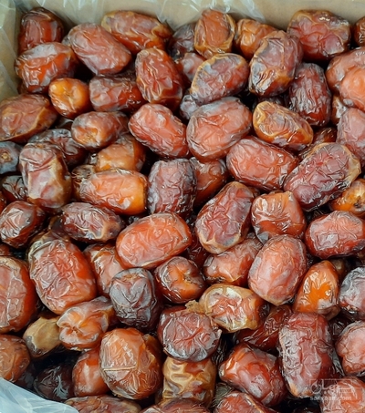 فروش خرما