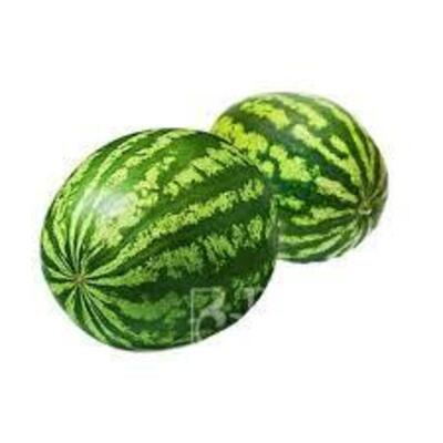 فروش هندوانه