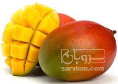 فروش انبه