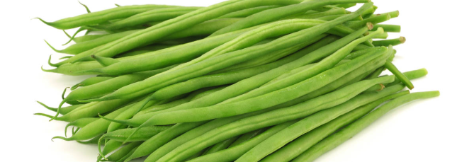 فروش لوبیا سبز