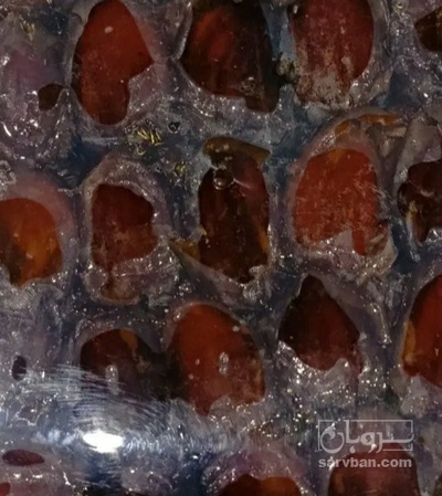 فروش خرما کلوته