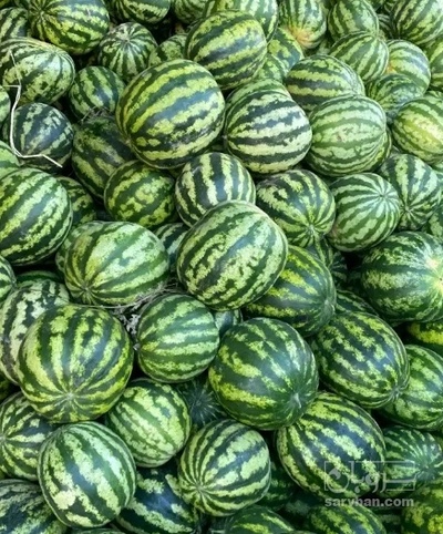 فروش هندوانه