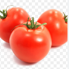 فروش گوجه فرنگی