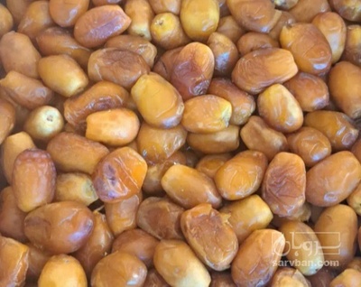 فروش خرما زاهدی