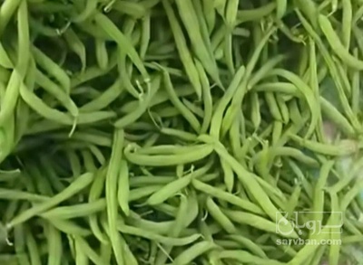 فروش لوبیا سبز