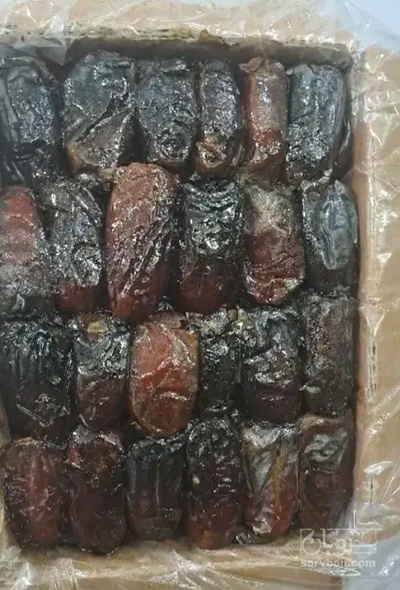 فروش خرما کلوته