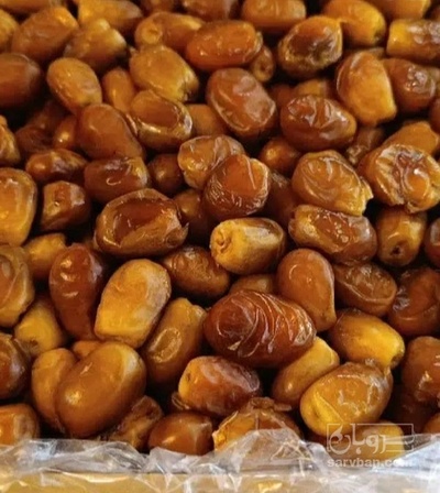 فروش خرما کلوته