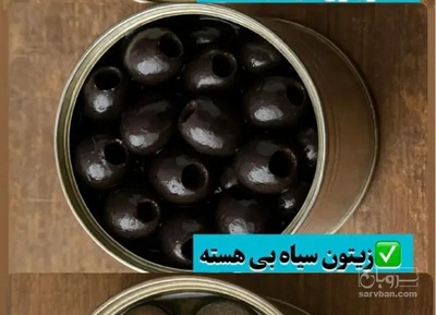 فروش زیتون بی هسته