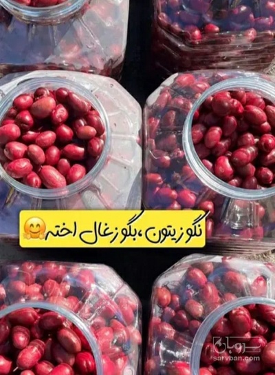 فروش زیتون زغال اخته