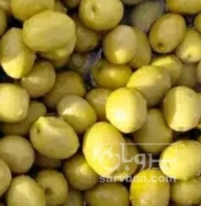 فروش زیتون بادامی