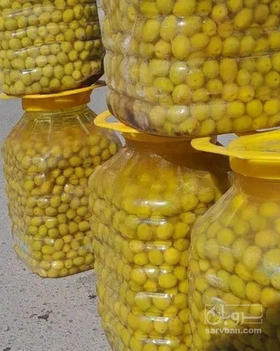 فروش زیتون سوپر